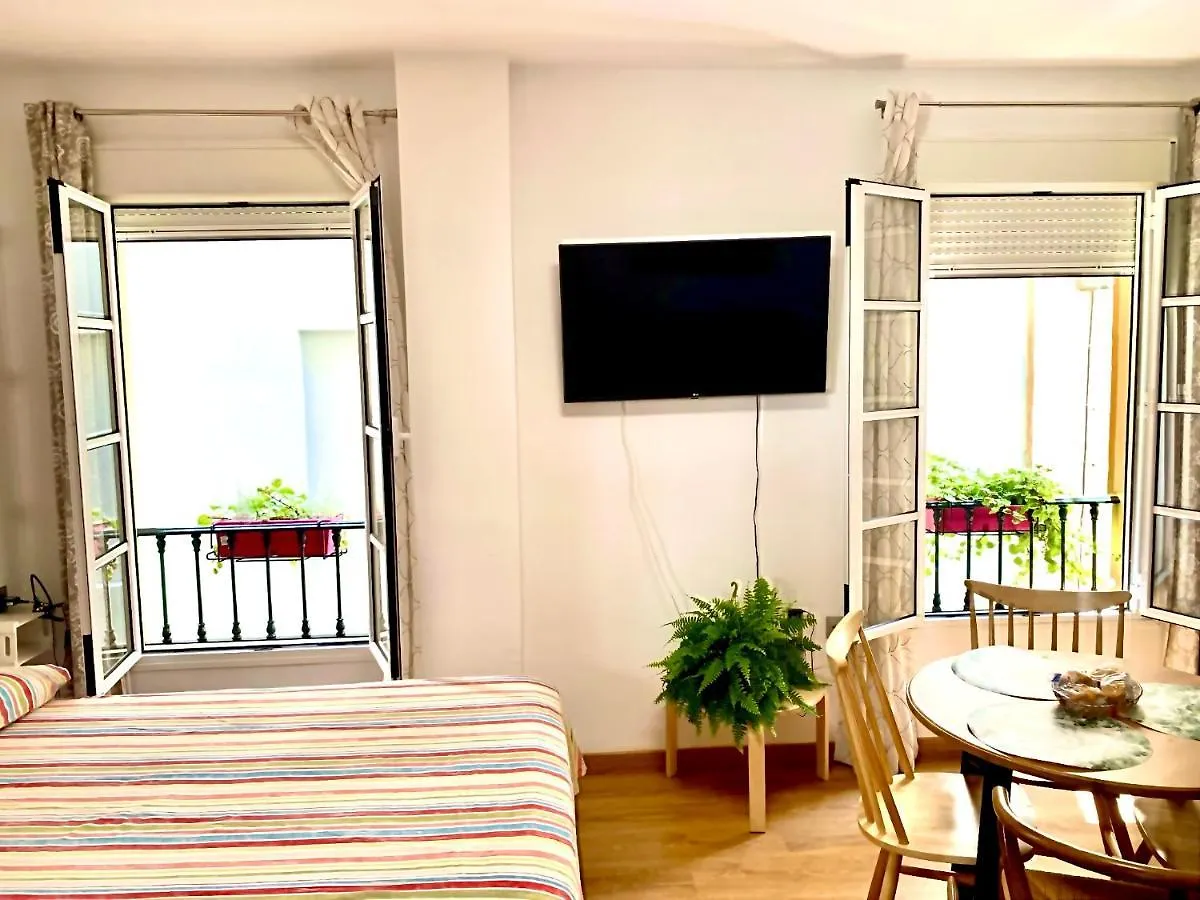Anas Apartment Centro Historico Malaga