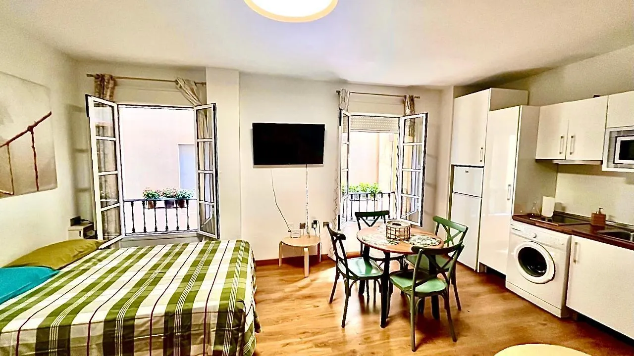 Anas Apartment Centro Historico Malaga
